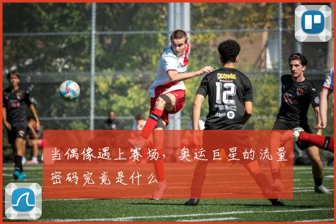 当偶像遇上赛场,奥运巨星的流量密码究竟是什么