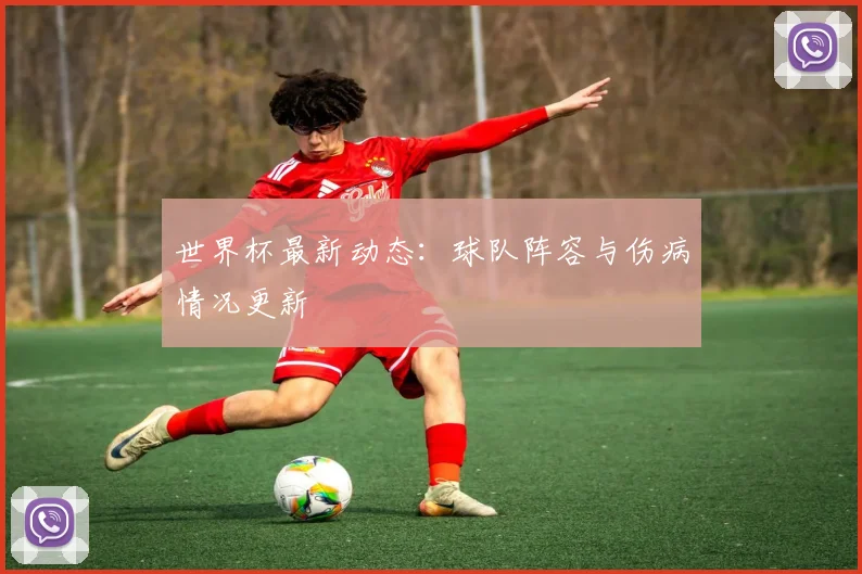 世界杯最新动态：球队阵容与伤病情况更新