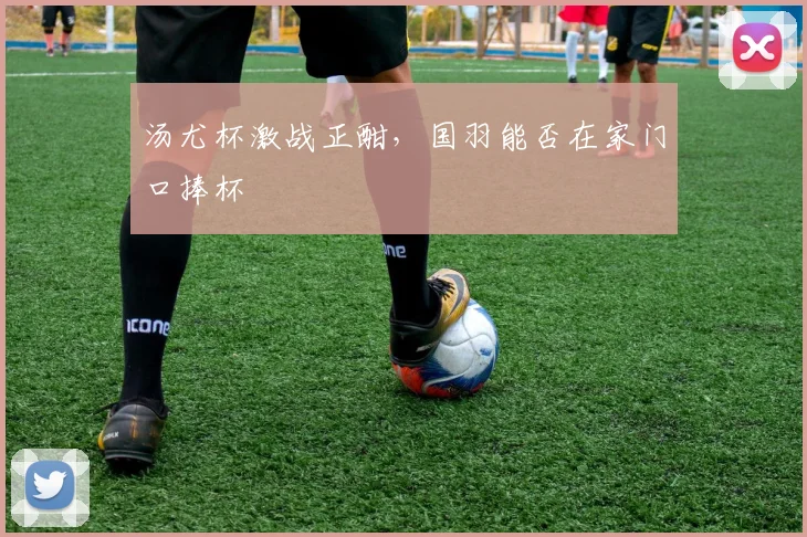汤尤杯激战正酣,国羽能否在家门口捧杯